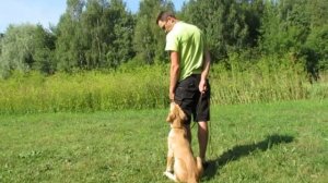 Переход от наведения.