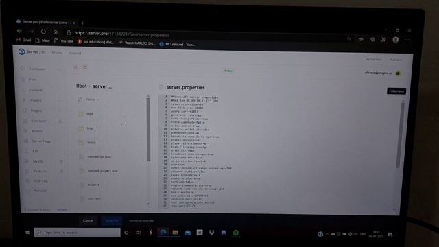 | server.pro Fix "Failed To Verify Username " Error on Minecraft Official Java Edition Multiplayer