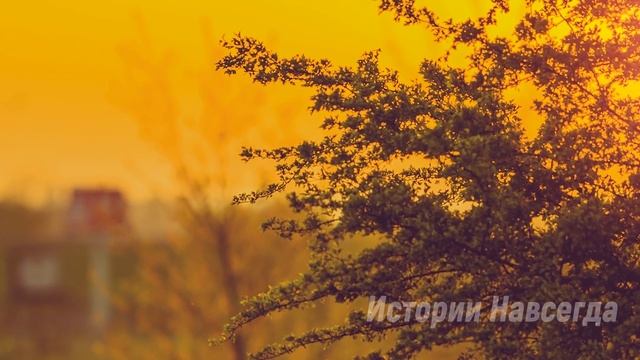 Многодетная мать в наследство получила старый дом. Переступив порог, она… смотреть онлайн