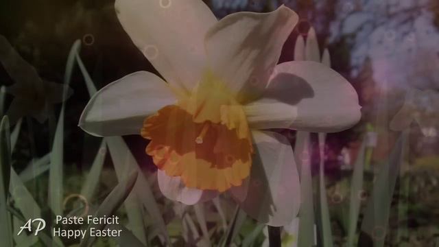 ♥Paste Fericit! Happy Easter !♥ смотреть онлайн