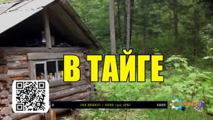 ИСТОРИИ из ЖИЗНИ ЛЕСНИКА НА НОЧЬ СУДЬБА ЖИЗНЬ МЕДВЕДИ ВОЛКИ в ЛЕСУ СЕРИАЛ ВСЕ СЕРИИ