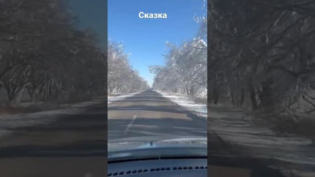 Зимняя сказка