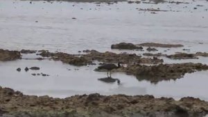 Vanuatu Вануату. Часть 1. Начало.