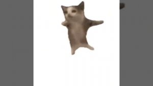 (_´∇`)ノ Кот флексит под дикий Дэнс