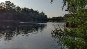 Река Ворскла в Полтаве. Природа Полтавы. Звуки природы, звуки лета.