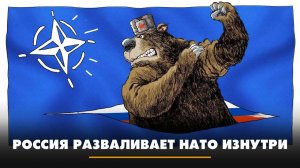 Россия разваливает НАТО изнутри | ЧТО БУДЕТ | 03.05.2024