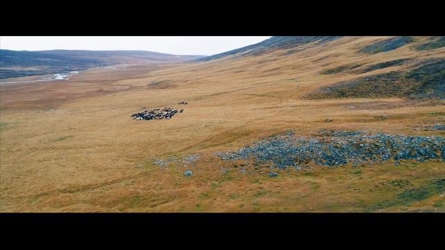 Mîran Herkî - Biharê ( Dengbêjî Filmed In Kurdistan )