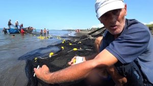 Как в Грузии ловят рыбу. Рыбалка волокушей. Кефаль.
