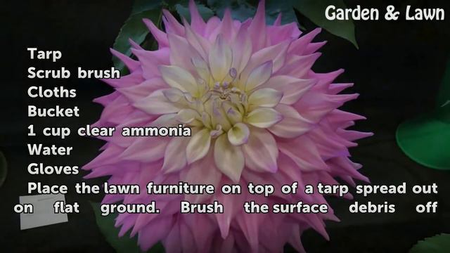 How to Remove Black Mildew Stains From Fabric Lawn Furniture смотреть онлайн