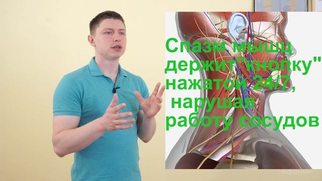 Сосуды и нервы шеи зависят от позвоночника, точнее от наличия травм шейного отдела