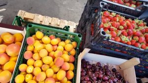 Казань Оптовый рынок Фрукты Ягоды Овощи