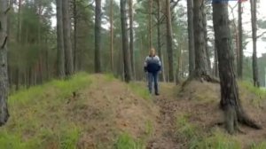 Путь из варяг в греки...Международная торговая трасса Средневековья ..