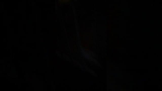 Вечером пришли управляться. смотреть онлайн