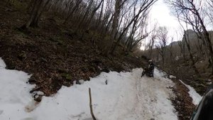 Что за шум в лесу Прохват по лесу.