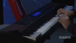 Casio CDP-235 R - Conceptual