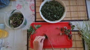 Ферментация кипрея при помощи мясорубки | Секрет вкусного травяного чая