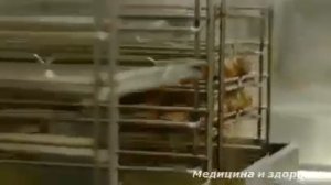 ШОК !!! Что мы едим! И почему сейчас так много больных людей?