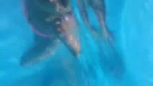 VLOG: Hawaii Aqapark||Гаваи аквапарк|| первое видео на канале| подводный чехол смотреть онлайн