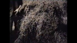 О Жизни Крестьян