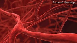 "САХАРНОЕ ЛИЦО": Почему СЛАДКОЕЖКИ СТАРЕЮТ БЫСТРЕЕ и КАК этого ИЗБЕЖАТЬ?