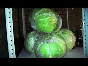 Как сохранить капусту в свежем виде до весны