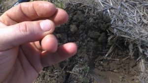 Коп по старине с металлоискателем. Коп в Германии.