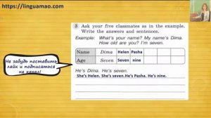 Spotlight (английский в фокусе) 3 класс Грамматический тренажер страница 5 номер 3 ГДЗ решебник