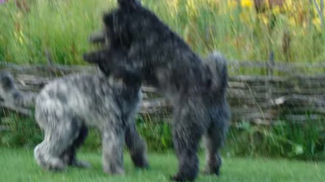 Hot sun, moscow summer +35-37 смотреть онлайн