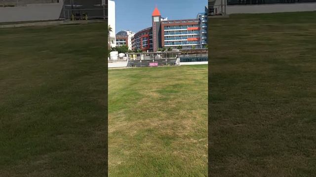 LONICERA PREMIUM 2021 обзор территории смотреть онлайн