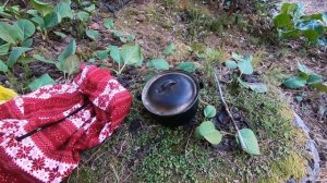 Поход на гору Синюху у Белокурихи