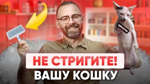 Вот почему ВАМ не стоит стричь свою КОШКУ!