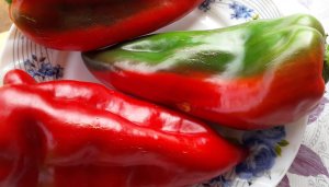 Отличный сорт сладкого перца