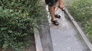 Садовая дорожка своими руками по технологии Печатный бетон вместо тротуарной плитки / 14.07.2022