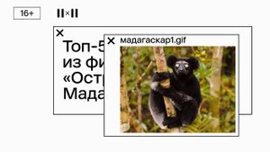 Смена логотипа 2х2 1 августа 2022 года