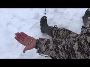 Лыжно-таёжные покатушки. Часть 1