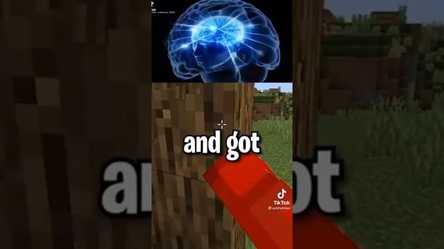 minecraft galaxy brain meme tiktok 5