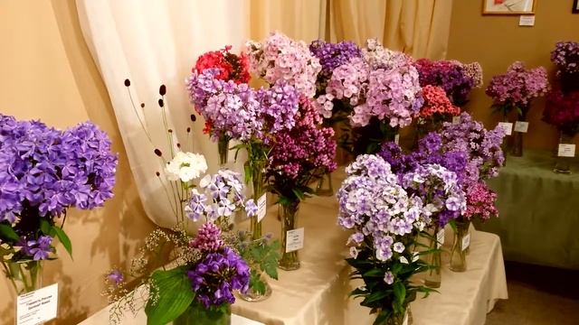 МИР ФЛОКСОВ. Выставка в Ботаническом саду. Санкт-Петербург. Phlox. смотреть онлайн