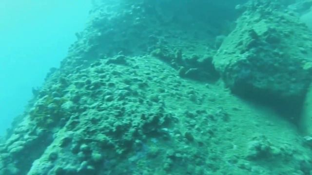 Дип дайв, Нячанг, Вьетнам/ Deep dive, Nha Trang, Vietnam смотреть онлайн