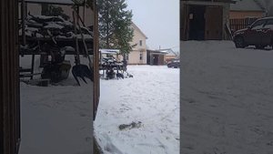 Мотоцикл из мотоблока