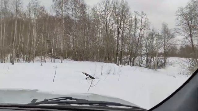 Урал НЕКСТ 4Х4 и очень много снега!!! смотреть онлайн