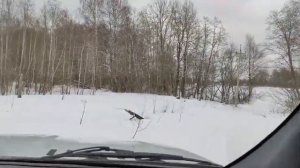 Урал НЕКСТ 4Х4 и очень много снега!!!