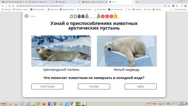 4 класс растения и животные арктики Зона арктических пустынь География Природа Окружающий мир Ридел
