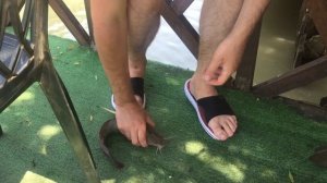 Рыбалка на Ачигварском озере. Сочи.