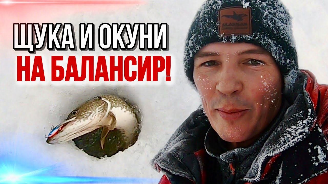 УДАРИЛА ПО БАЛАНСИРУ ТАК, АДРЕНАЛИН В КРОВЬ, РУКИ ДРОЖАТ, УДОЧКА В ХЛАМ! #рыбалка #щука #окунь