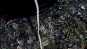 How to expel moles by electric shock. Как выгнать кротов электрическим током.
