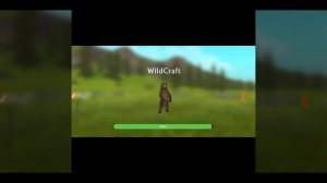 Белый экран и бесконечная загрузка при входе в WildCraft? Ответ есть! | TIeJIbMeHb WildCraft