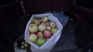 Иссык-Куль Цены 2021 Чолпон-Ата Бостери