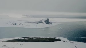 Проект  _Нарвал. Легенда Арктики_ (2020)