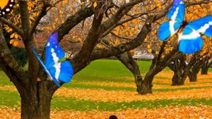 Олег Баянов - Пьяная осень. Автор ролика Шатоба Владимир.mp4