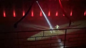 Шоу Гладиаторы Рима